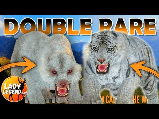 TWO RARE TIGERS Almost at the SAME TIME!!!  - Call of the Wild