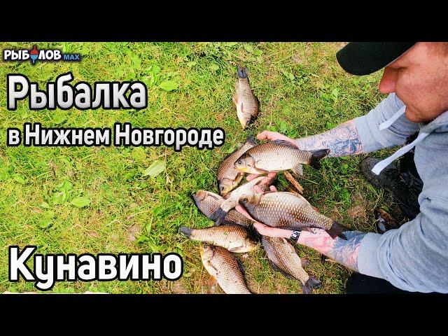 Летняя рыбалка в Нижнем Новгороде 2022. Борский район. Ловля карася в деревне Кунавино