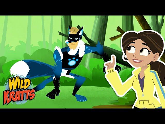 Activate Red Fox Powers | Rescuing Fox Pups from Gourmand | Season 7 | Wild Kratts