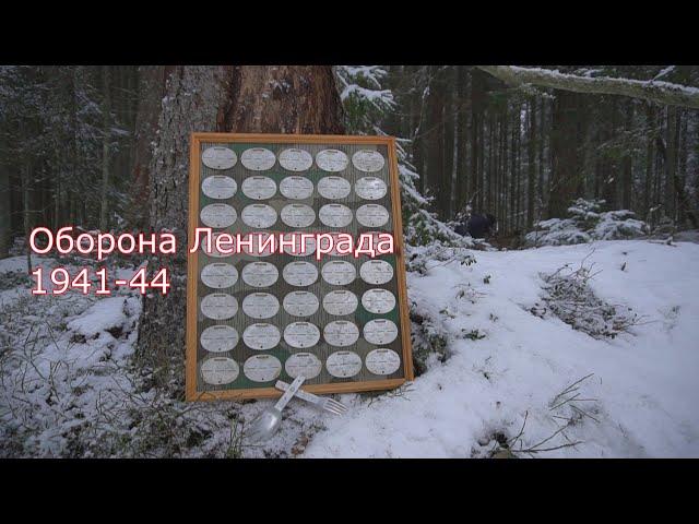 Ленинградский Фронт. Раскопки: Синявино, Мга, Малукса, Виняглово. WWII Metal Detecting.