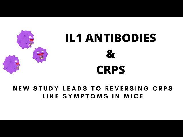 IL1 ANTIBODIES & CRPS - STUDY LEADS TO POSSIBLE NEW TREATMENT