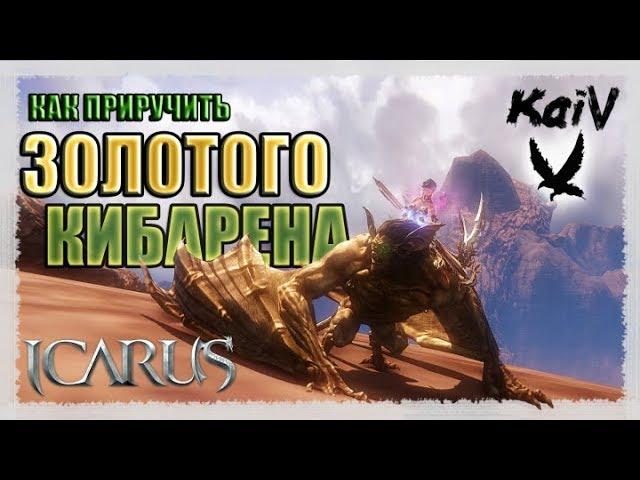 Icarus. Как приручить Золотого Кибарена.