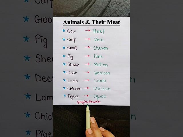 Animals & Their Meat  #english #onlinesclasses #englishvocabulary #englishgrammar #meat #animals