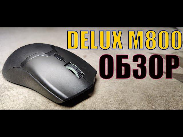 ОБЗОР DELUX M800 WIRELESS - ВСЁ ЕЩЕ ХОРОША! (РОЗЫГРЫШЬ!)