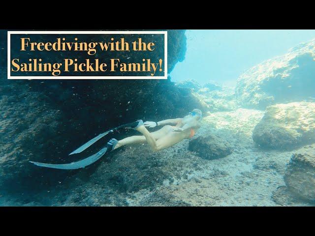 Episode 178 - Freediving and Blue Lagoons with the Sailing Pickle Family