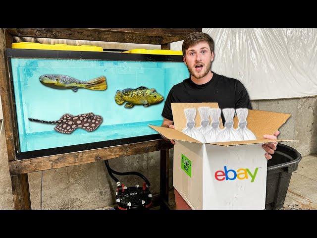 Buying EXPENSIVE Live Fish from EBAY! ($500)