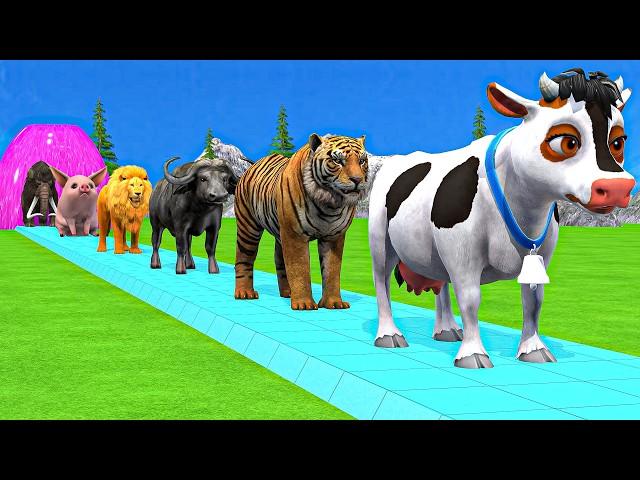 Paint & Animals Cow,Gorilla,Elephant,Lion,Tiger,Dinosaur, Fountain Crossing Transformation Cartoon