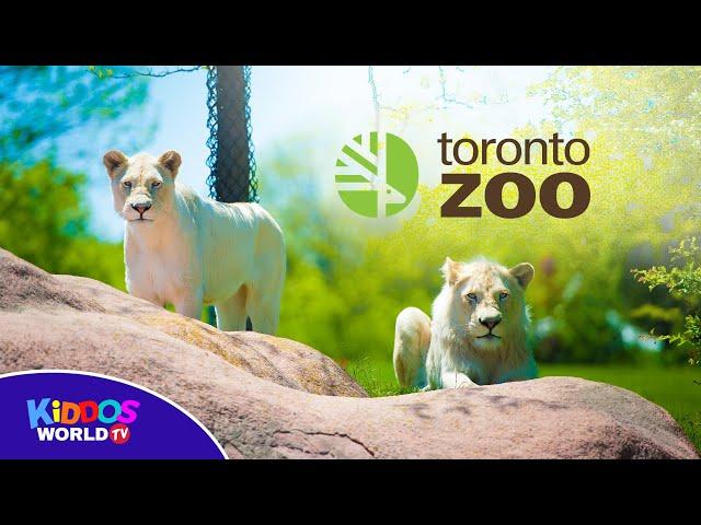 Toronto Zoo 2019 Full Tour - Fun Animals for Children and Toddlers