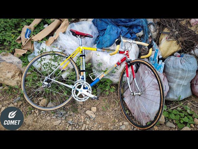 30 Year Old Italian Bicycle - Worth repairing?