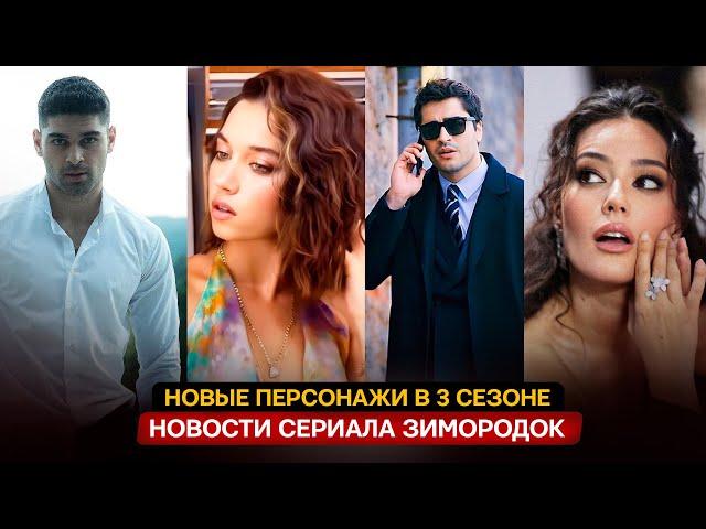 Новости сериала Зимородок 3 сезон - Новые персонажи, кто они?