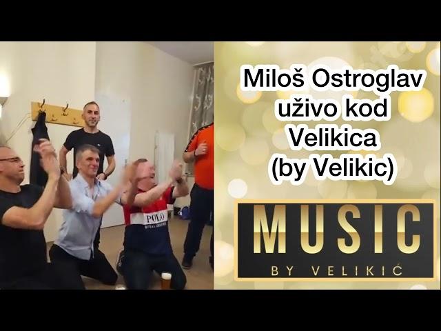 Miloš Ostroglav uživo kod Velikica (by Velikic)