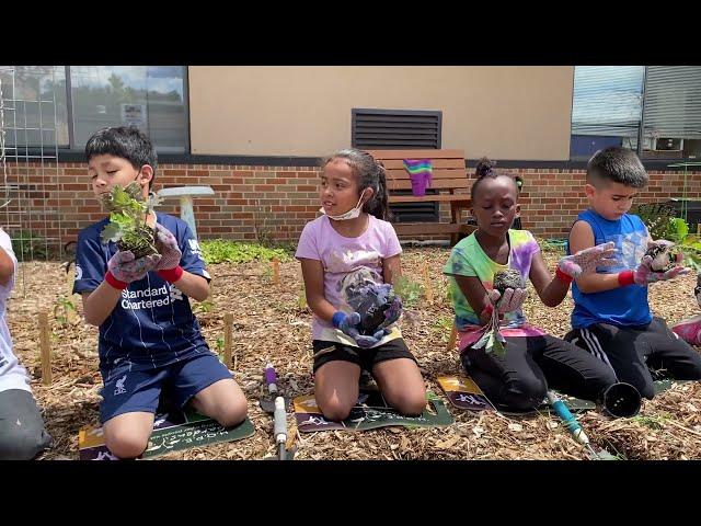 Empowering Kids- H.O.P.E. Gardens