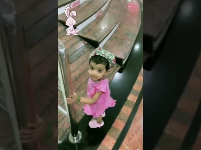 Baby sharks... #dubai #Darshika swami