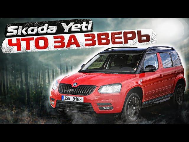 Skoda Yeti | Анатомические особенности. Чего ждать от б/у кроссовера?