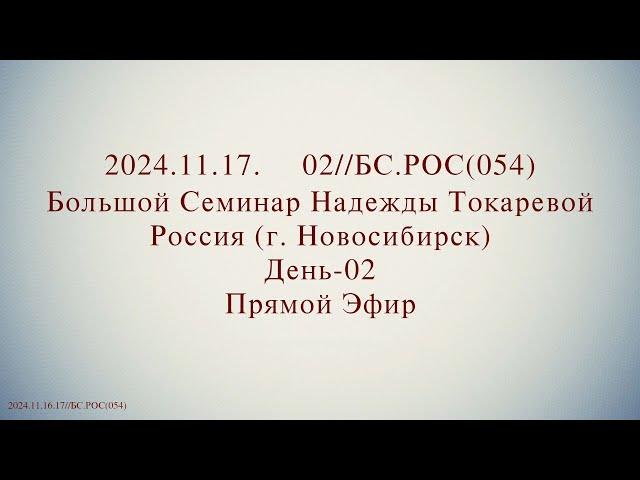 Надежда Токарева - БС_17.11.2024.Д-2 Новосибирск. Прямой Эфир