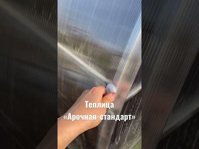 Теплица Арочная-стандарт #теплица #поликарбонат #теплицаоцинкованная #теплицаарочная #агроструктура