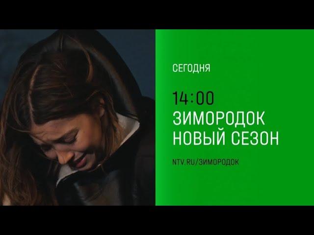 Анонс, Зимородок, 2 сезон, новые серии, премьера сегодня в 14:00 на НТВ, 2024