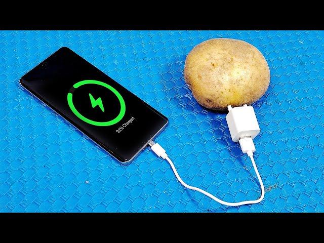 How to generate free electricity from potato (charged your phone) PROVEN | Simple Tips