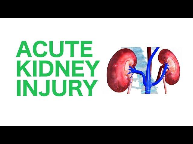 Acute Kidney Injury (AKI) || USMLE