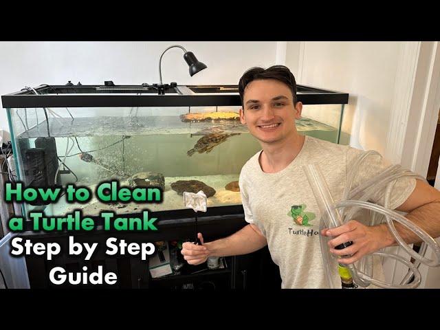 How To Clean a Turtle Tank in 30 Minutes! (Step by Step)