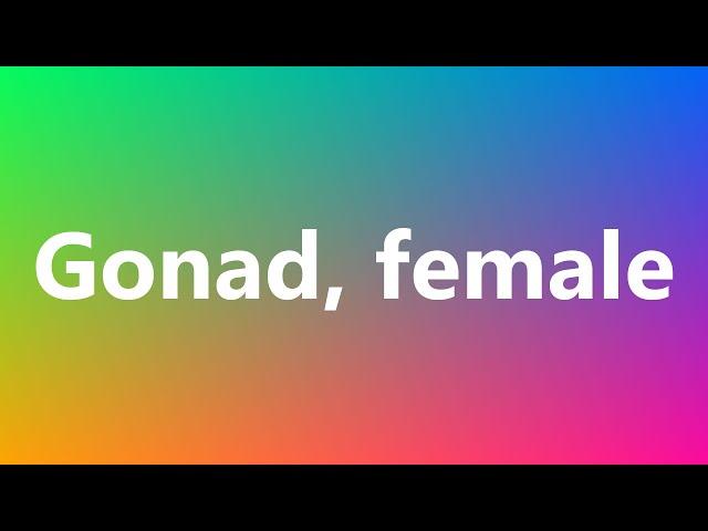 Gonad, female - Medical Meaning and Pronunciation