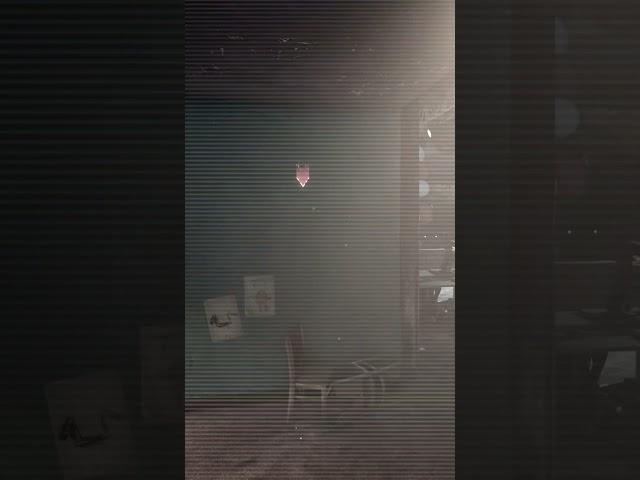 Let me check the cameras one more time.