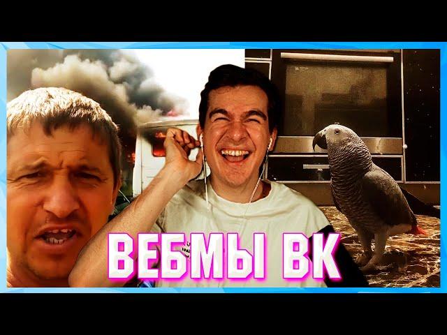 БРАТИШКИН СМОТРИТ ВЕБМЫ ВК ( 14 ЧАСТЬ )