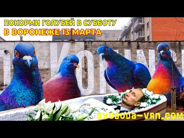 Воронеж кормит голубей в субботу 13 марта.  Прямой эфир 14:00. Свободу России, Хабаровску, Беларуси.