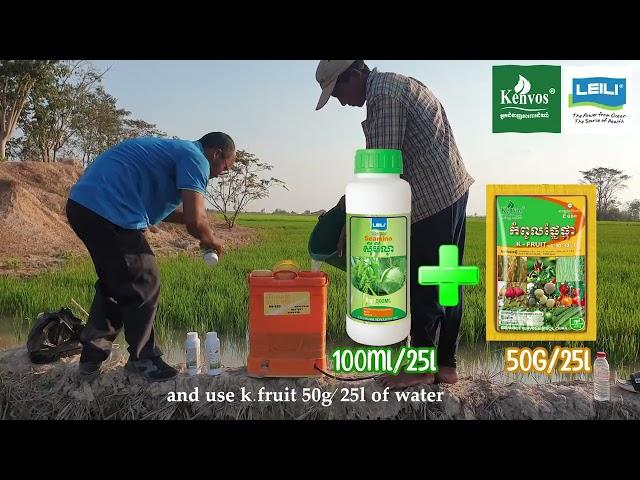 Kenvos—Sotfguard ++, Seamino, K-Flower Fruit on the rice crop of farmers with high efficiency.