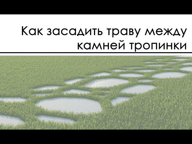 Как засадить траву между камней тропинки мультискаттером / Multiscatter