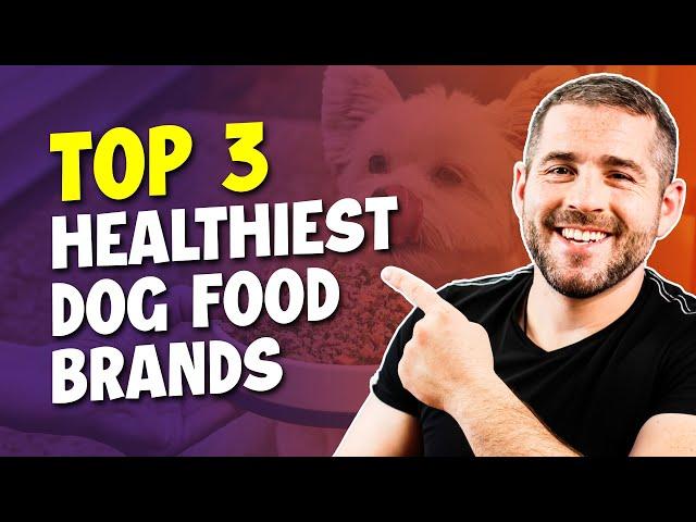 Best Healthy Dog Food For 2025