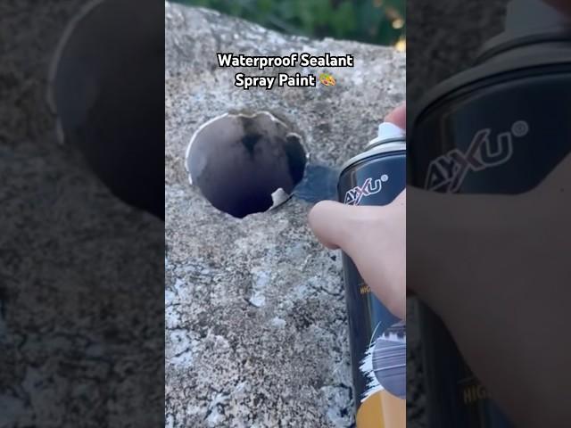 Waterproof Rubber Coating Spray Paint #sealantspray #diy