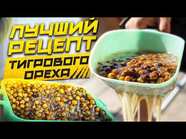 КАК ПРАВИЛЬНО ГОТОВИТЬ ТИГРОВЫЙ ОРЕХ С СОПЛЯМИ?! Рецепт от А до Я. Tiger Nut