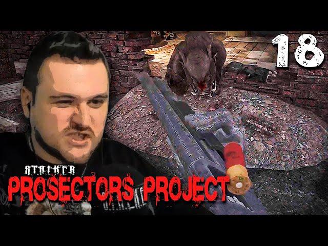 S.T.A.L.K.E.R.  Prosectors Project (18) ► Прямо на лицо