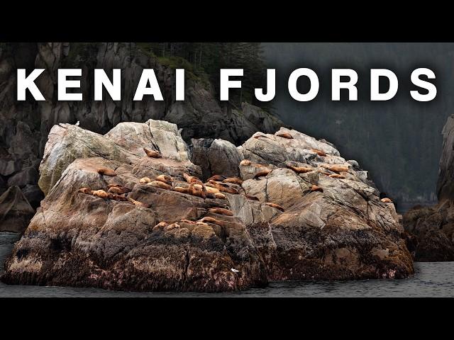 Boat Tour to Kenai Fjords National Park | A MUST DO Tour in Seward, Alaska [S1-E12]