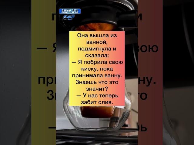 Мяу мяу  #анекдоты #шутки #приколы #ржака #юмор #смех