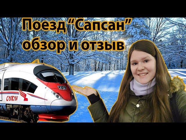 Train Sapsan RZD from Moscow and St. Petersburg review and review