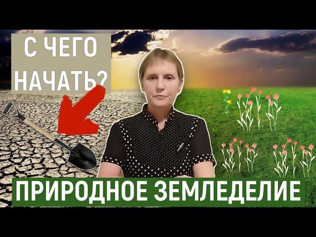 Делюсь опытом, как начать природное земледелие. Перестаньте перекапывать. Сделайте землю плодородной