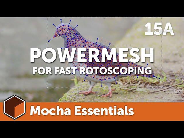 15a PowerMesh for Rotoscoping [Mocha Essentials]