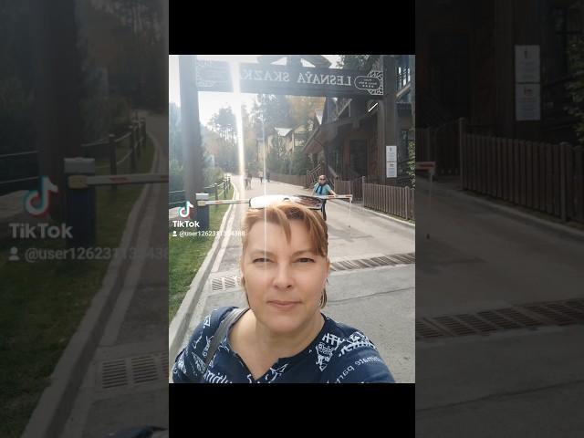 Лесная сказка