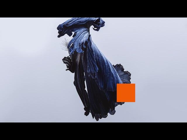 Talos - Let Go (Audio)
