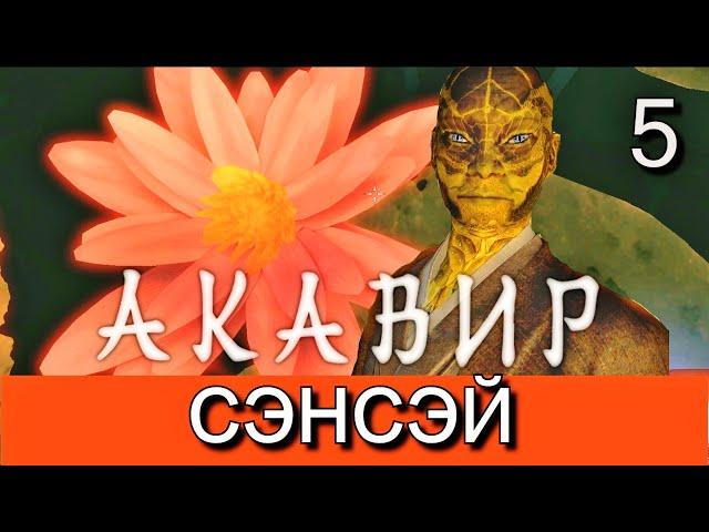 Скайрим. Мод АКАВИР. ПРОКЛЯТИЕ БЕССМЕРТНЫХ. AKAVIR. THE CURSE OF THE IMMORTALS. Прохождение. Часть 5