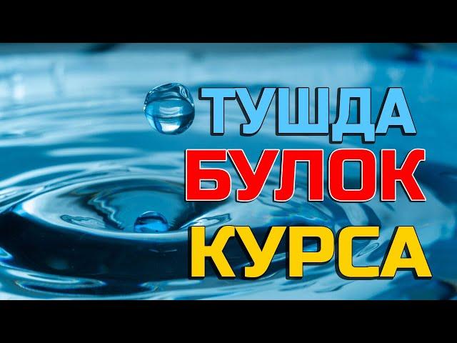 Тушда Булок курса - Tushda Buloq ko'rsa