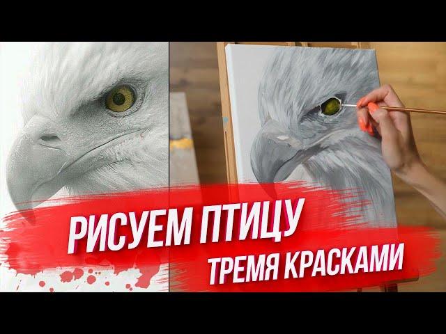 ШИКАРНАЯ КАРТИНА ТРЕМЯ КРАСКАМИ / РИСУЕМ ПТИЦУ АКРИЛОМ