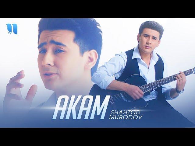 Shahzod Murodov - Akam | Шахзод Муродов - Акам