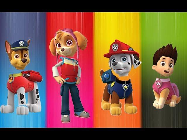 Finger Family Paw Patrol - Wrong Heads Paw Patrol Finger Family for Kids