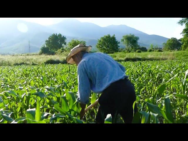 JETA NË FSHAT - Reportazhi i plotë