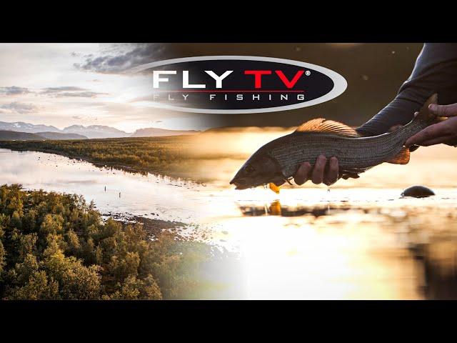 FLY TV - Epic DRY FLY Fishing for Big Grayling