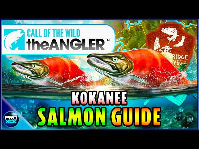 Kokanee Salmon HOTSPOT GUIDE! | How to Catch a Diamond Kokanee Salmon! - Call of the Wild the Angler