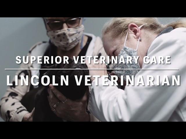 Superior Veterinary Care